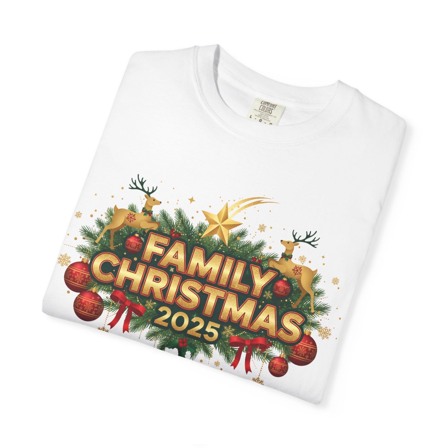 Family Christmas 2025 T-Shirt